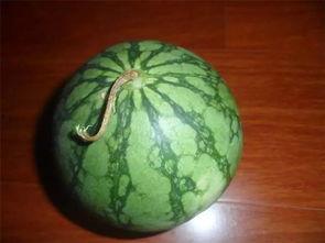 吃瓜老墨,揭秘娱乐圈背后的那些事儿