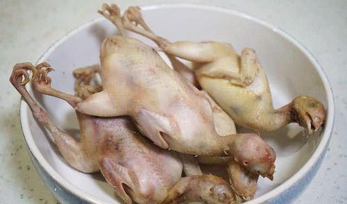 小鸡怎么吃老瓜,意外吃掉老瓜的奇妙故事