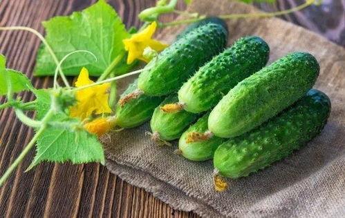 吃瓜人声增强,揭秘网络热传声音背后的秘密