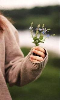 吃瓜有何深意,揭秘网络舆论的深层含义