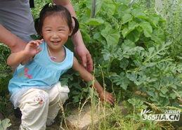 吃瓜冉冉妈妈,揭秘育儿路上的酸甜苦辣