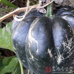 吃方瓜会烧心吗,揭秘吃方瓜是否会引发烧心现象