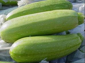 跟吃瓜相似词汇,揭秘吃瓜群众的趣味世界