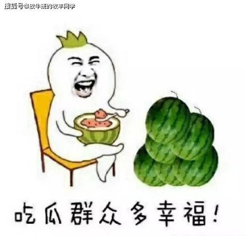 我吃瓜就能变强,揭秘“吃瓜变强”的神奇之旅