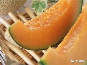 保持吃瓜,揭秘吃瓜群众的快乐与烦恼