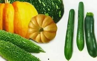 每日推荐网红吃瓜