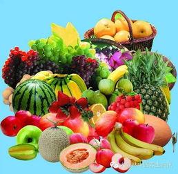 疗养院吃瓜,一场别开生面的疗愈之旅