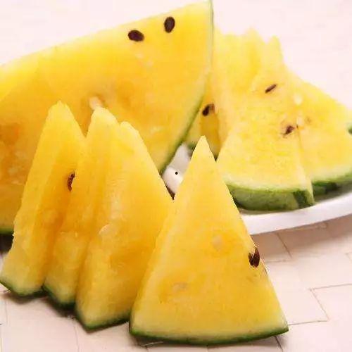 一中瓜吃内脏瓜,揭秘“一中瓜吃内脏瓜”的独特魅力