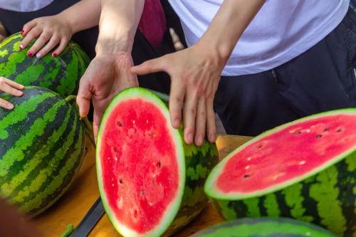 吃学校里的瓜,揭秘学校里的那些“瓜”