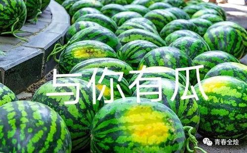 吃学校里的瓜,揭秘学校里的那些“瓜”