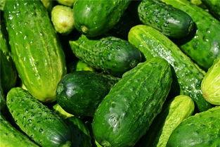 梦见在楼顶吃瓜,揭秘梦境中的悠闲时光