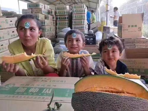 有钱人吃瓜视频,吃瓜视频背后的奢华生活