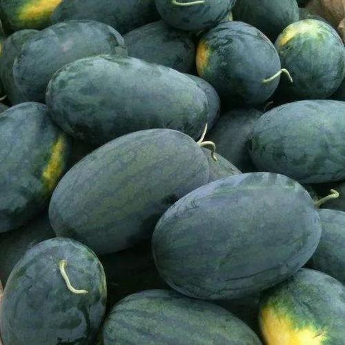 在哪可以吃瓜,哪里可以畅享美味瓜果盛宴