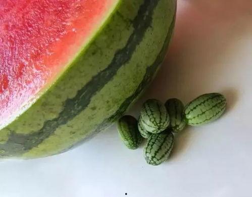 吃瓜了没营养,揭秘网络八卦背后的真相与反思