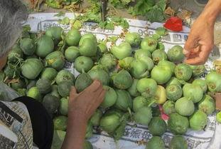 乡下聚集吃瓜事件,一场聚集吃瓜引发的乡村风云