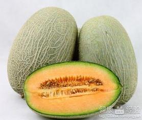 吃哈密瓜可以吃鱿鱼,美味碰撞的夏日料理新主张