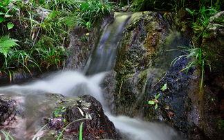 夏日小溪吃瓜拍照