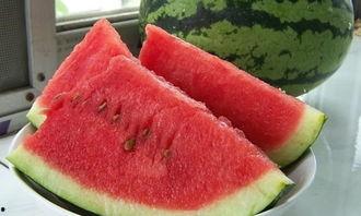 吃瓜比赛作文怎么写,一场别开生面的吃瓜大赛盛况