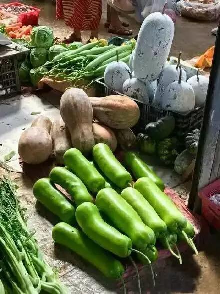 建水实验吃瓜,一场别开生面的“吃瓜”盛宴