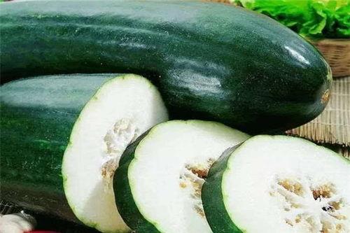 什么瓜冬天吃,探寻冬季养生美食“什么瓜”的秘密 第1张 什么瓜冬天吃,探寻冬季养生美食“什么瓜”的秘密 第1张