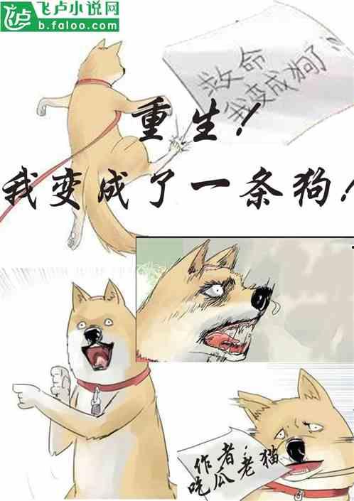 冬日吃瓜小说在线阅读,瓜田奇遇记——吃瓜小说在线阅读之旅