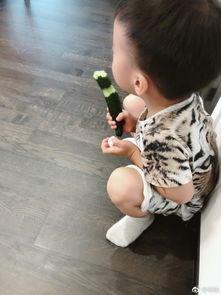 吴所谓吃瓜,揭秘娱乐圈幕后真相  第3张