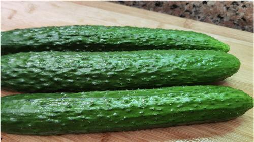 红瓜吃黄瓜 第2张 红瓜吃黄瓜 第2张