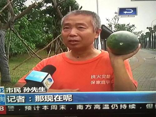 热门事件每日吃瓜,揭秘热门事件背后的瓜皮真相  第2张