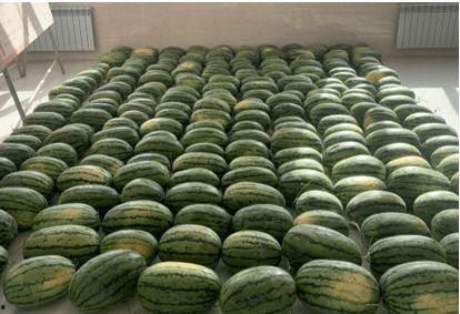 潮州今日吃瓜新闻,今日热点事件盘点