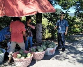 盛京吃瓜群众,吃瓜群众的欢乐盛宴 第2张 盛京吃瓜群众,吃瓜群众的欢乐盛宴 第2张
