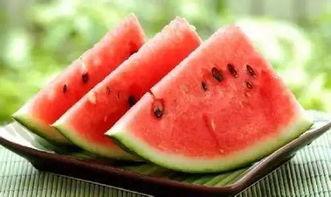 养鱼不如吃瓜,揭秘“养鱼不如吃瓜”的智慧生活