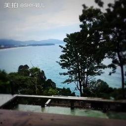 海景别墅吃瓜,一场别开生面的夏日狂欢