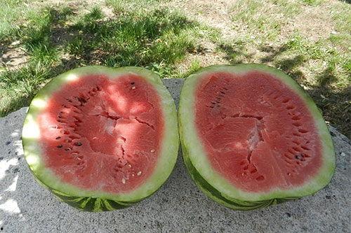 做梦梦见买两个瓜吃瓜  第3张