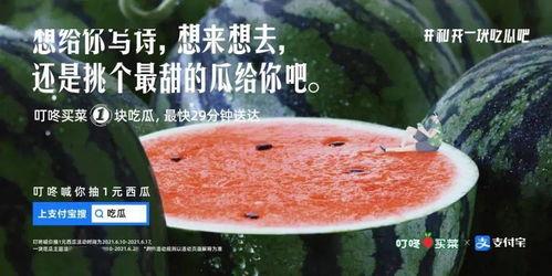 吃瓜拌饭文案短句,品味生活点滴  第1张