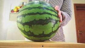 吃不甜的瓜视频  第1张