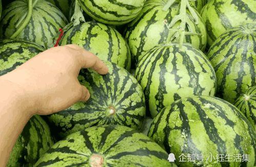 吃不甜的瓜视频  第2张