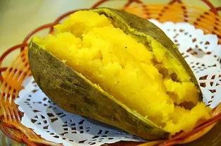 厦门吃瓜爆金币,吃瓜爆金币，畅享夏日狂欢盛宴  第3张