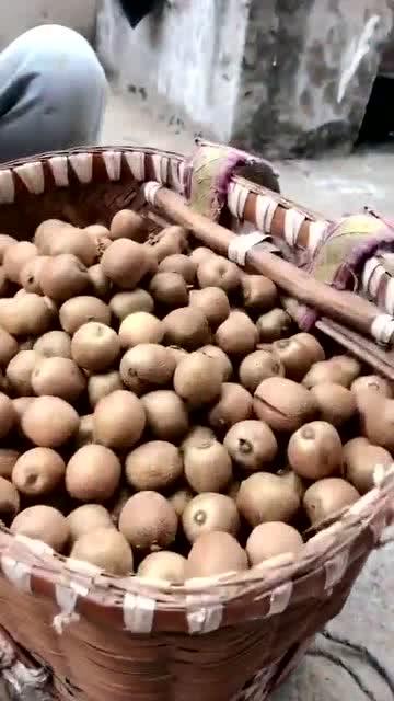 带你吃瓜野生舍友  第2张