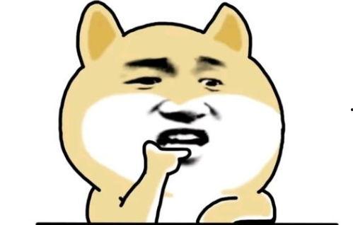 免费吃瓜搞笑段子,免费吃瓜，段子里的欢乐时光