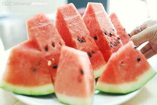 专业吃瓜人  第3张