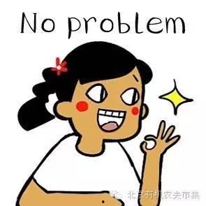 吃瓜小熊米其林