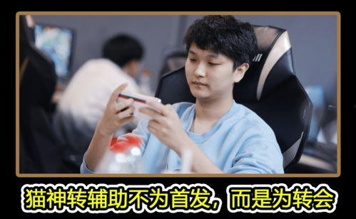 邵群吃瓜,揭秘娱乐圈幕后真相  第2张