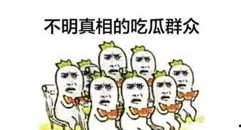 吃瓜群众牌子,揭秘“吃瓜群众”背后的网络文化现象  第2张