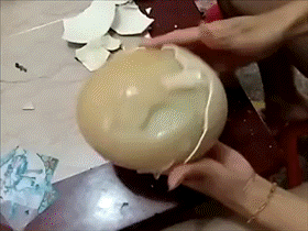 吃瓜群众动图gif,吃瓜群众表情包背后的故事 第3张 吃瓜群众动图gif,吃瓜群众表情包背后的故事 第3张
