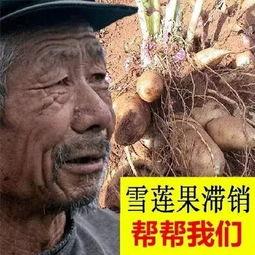 网红大爷吃瓜 第2张 网红大爷吃瓜 第2张
